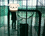 200703022206000.gif