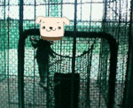 200703022208000.gif