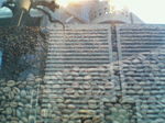 200703172323000.jpg