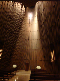 DSC01166.jpg