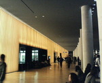 P1060004.jpg