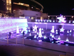 toyosu0115.jpg